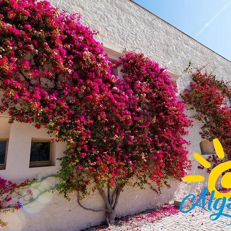 Convento Bernardas By Algartur